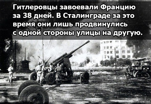 Дом Павлов 2.jpg