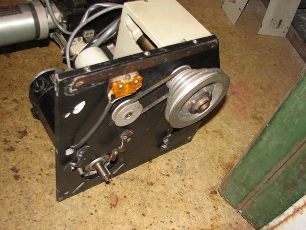 resized_IMG_5478.jpg