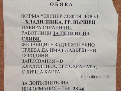 rabota.jpg