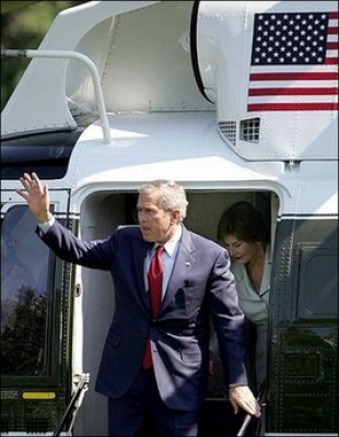 bush.jpg