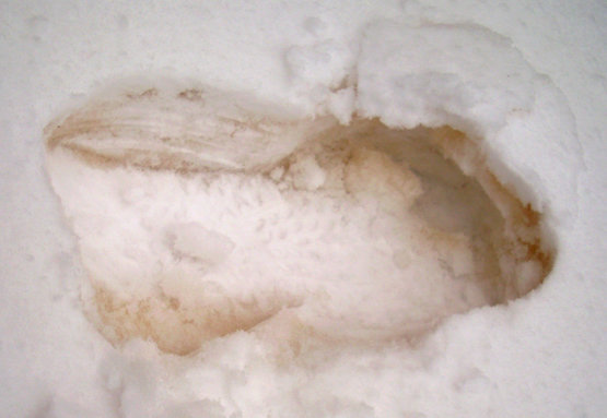 DSCI4720-M.JPG