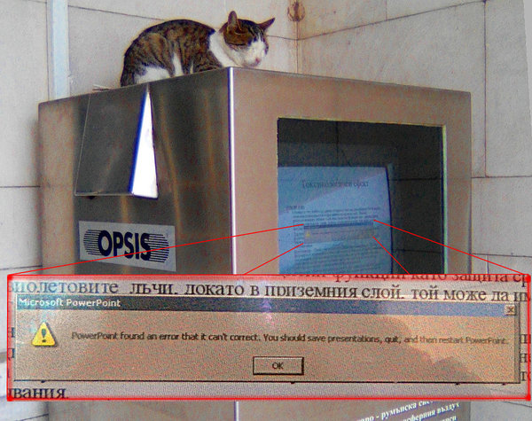 Cat-hack-1.jpg