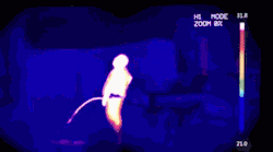 b737c4886884df453c6afdb59ada5fee.gif