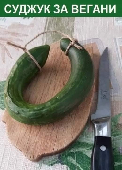Sudj_vegan.jpg
