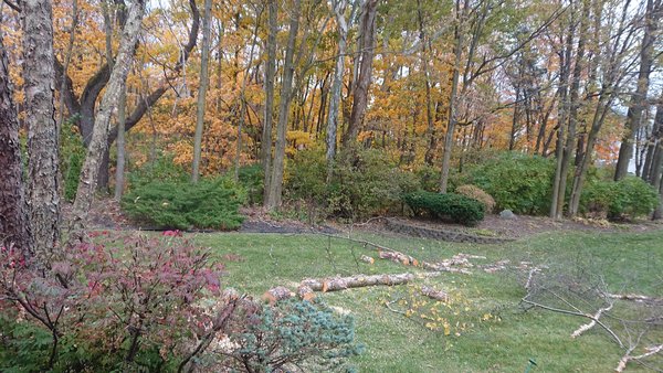 DSC_1423.JPG