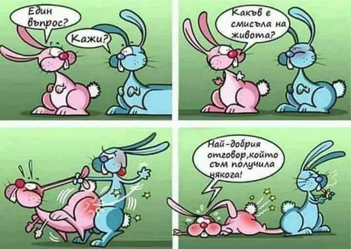 Zaiu.jpg