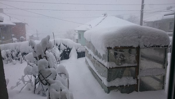 DSC_0430.JPG