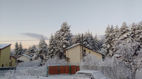 Pic 1.jpg