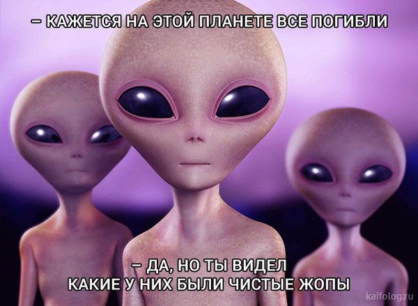 q.jpg