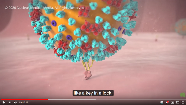 COVID.png