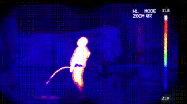 180E503F-C2A9-4DF0-9EBA-3547CDF2CDD0.gif