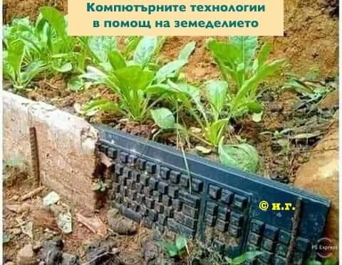 0-02-05-c75c5fd6ee5dc3e46a1816a17405e8c7d4b0ffbfcf7f4eff21ef174888137c2a_ca938838_1596175315_1596175325.jpg