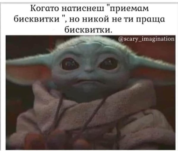 bisk.jpg