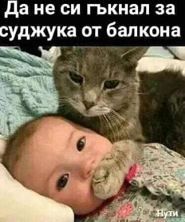 0-02-05-4e1569c33b2753c353b20a644eca481593523bb1486b7d80d6a9129c4afc4f93_5eeda905_1601030460.jpg