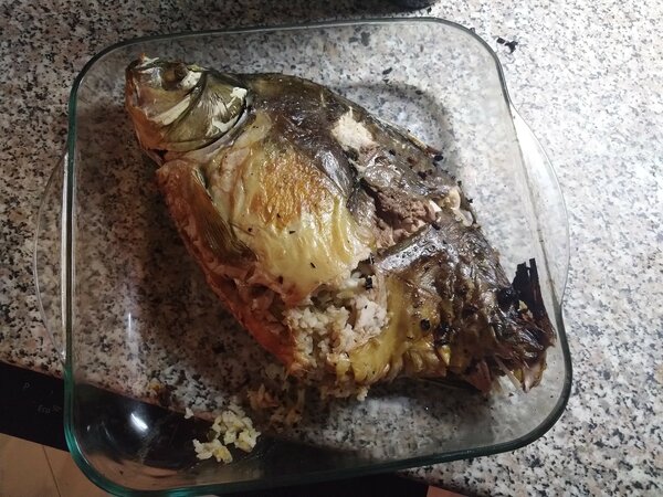 IMG_20201206_200220.jpg