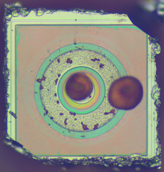 KT315A-7803.jpg