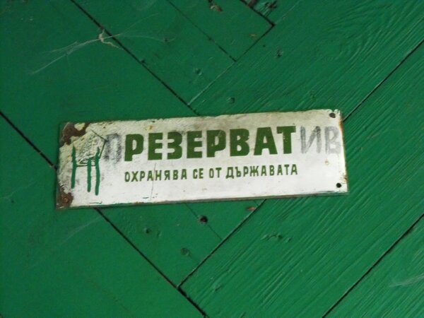 DSCF7508.JPG