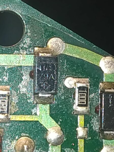 154336146_255774719463322_5524776212969740562_n.jpg