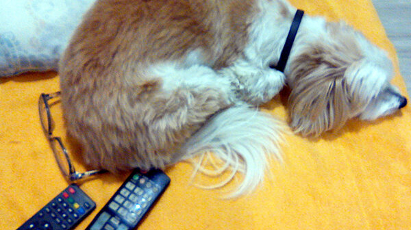 watch TV-01.jpg