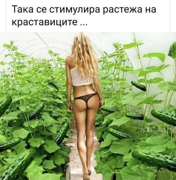 rastej_kr.jpg