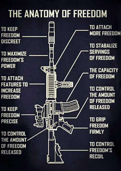 The Anatomy of Freedom.jpg
