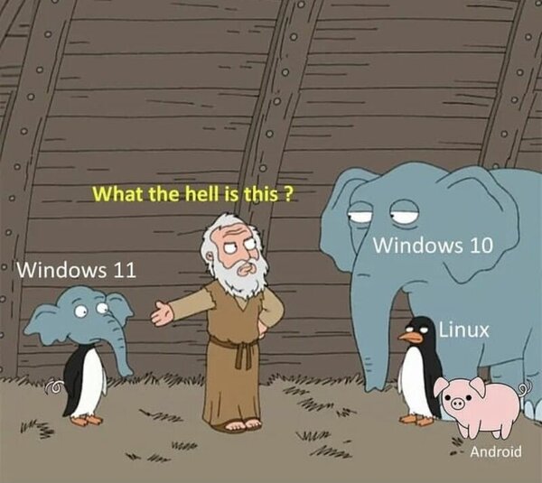 Windows11_animal.jpg