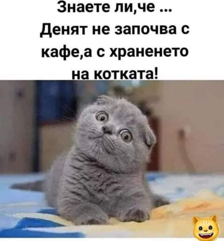 utroto.jpg