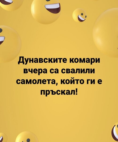 0-02-05-782abd23b3ffb43ef7c54e9997d8050b09e0c3fa7a136b75d0b2ee8f3c892a00_cf2eedfc9a3725ff.jpg