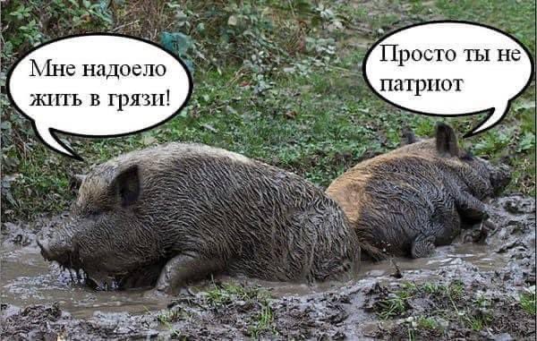 FX5K-1vWIAEua5M.jpeg