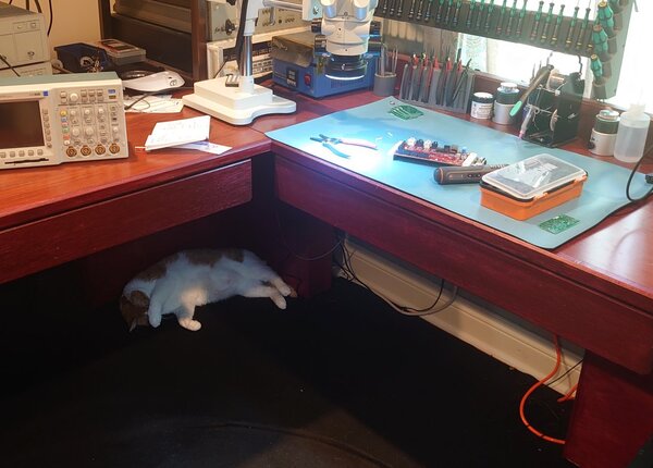 hard working.jpg