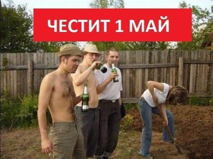 1_mai.jpg