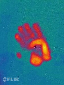 flir_20240909T083340.jpg