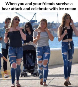 bear_attack.png