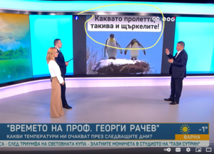 каквато пролетта такива и щъркелите.png