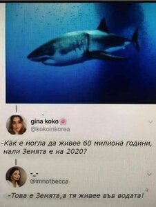 Akula_60_miliona_godini.jpg