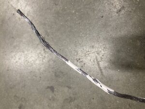 IMG_1190.jpeg