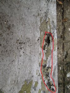 image1005.jpg