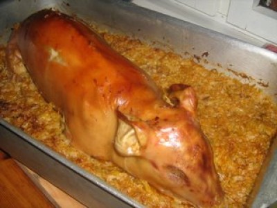 Pig.jpg