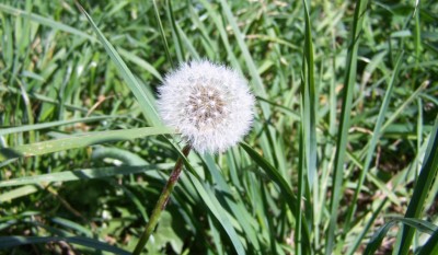 100_6806_1.JPG