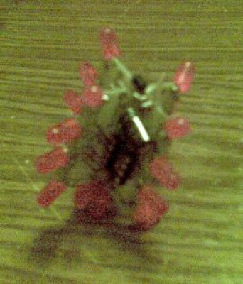 20110405.jpg
