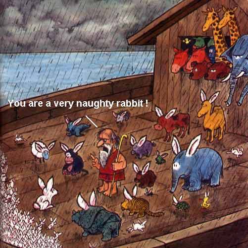 noah1.jpg