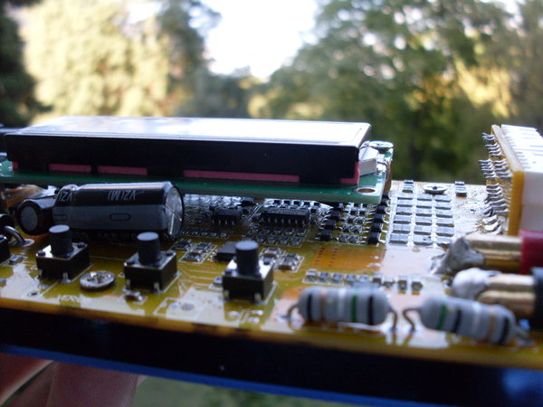 SDC13686.JPG