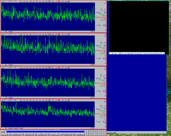 rdg456.gif