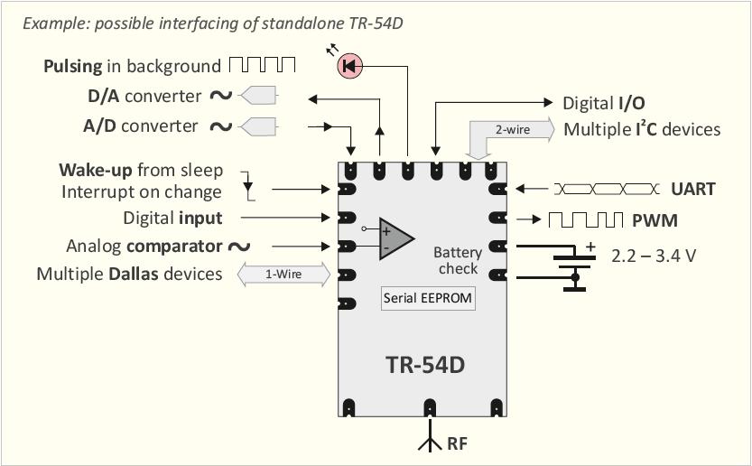 tr54d.JPG