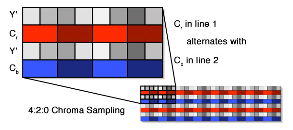 sampling420.jpg
