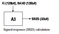 sres1.JPG