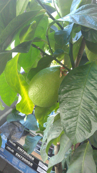 IMAG0752.jpg
