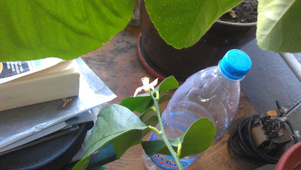 IMAG0755.jpg