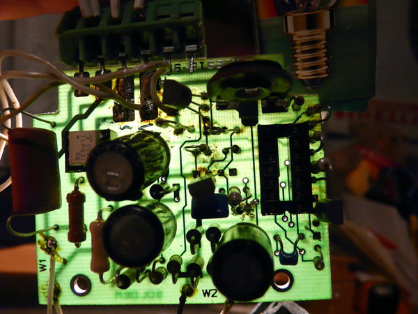 P1130915.JPG