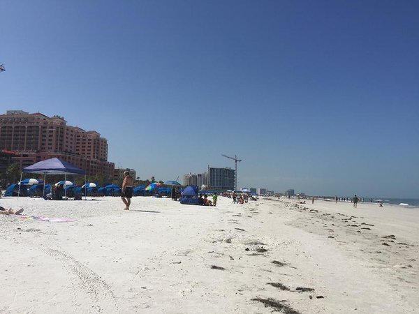 IMG_0638.jpg